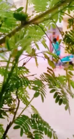 @👑Mr_Omprakash👑