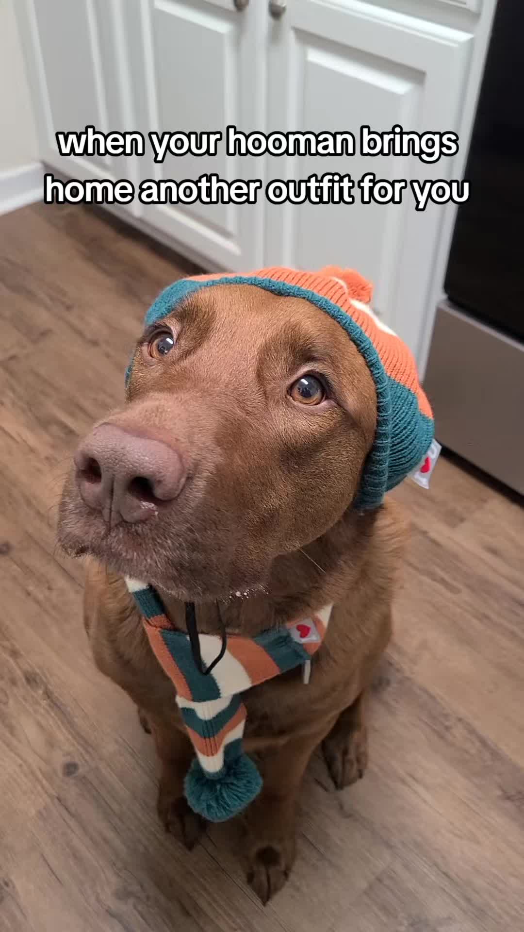 @hankinthehat