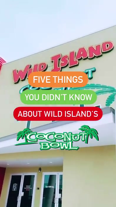 @Wild Island
