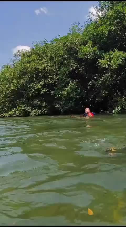 @Yuliana Salazar Galeano