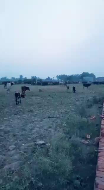 @guri saab 😘