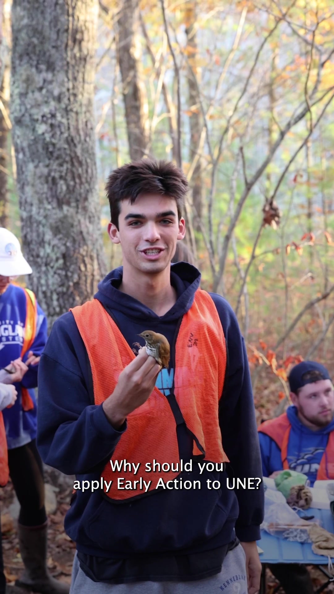 @UNE Admissions