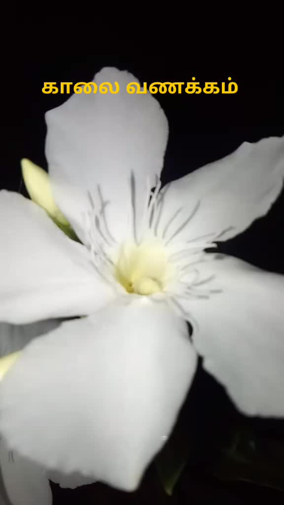 @விமர்சனம்