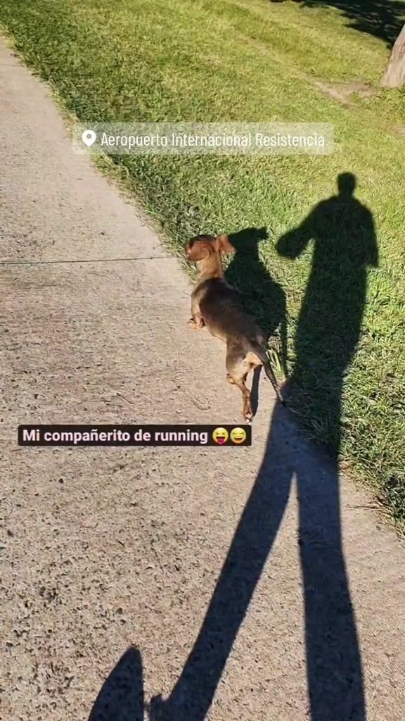 @gabrielposanzini