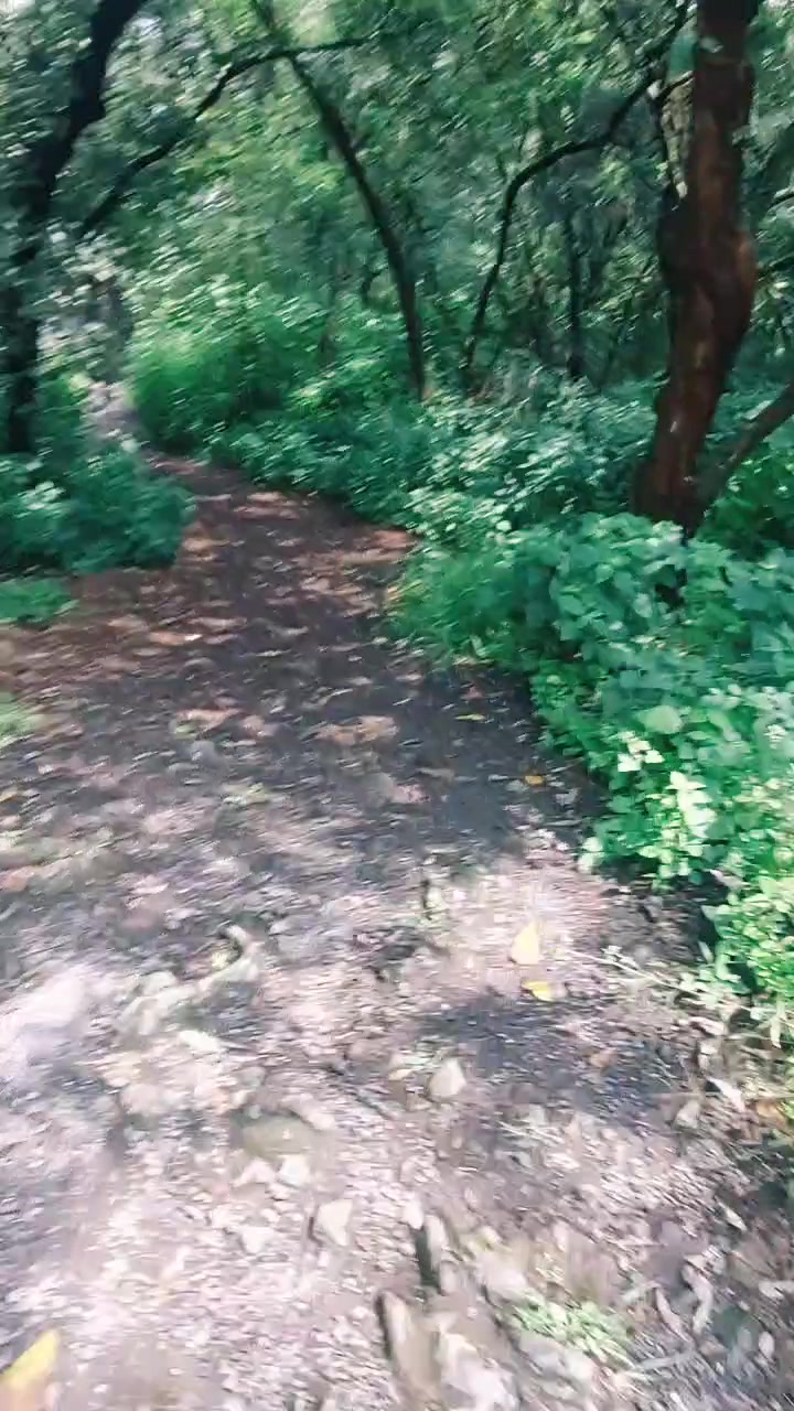 @Jezz Runner