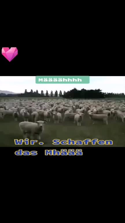 @Josh