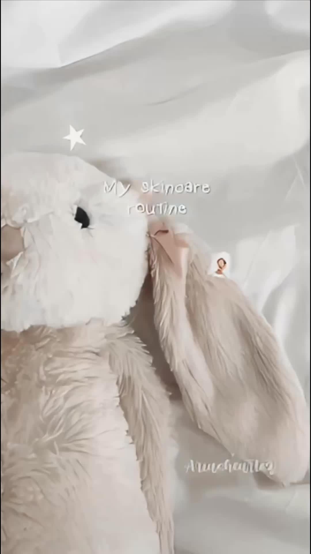 @ᯓ★ֶָ֢⭑aria ᡣ𐭩🐾