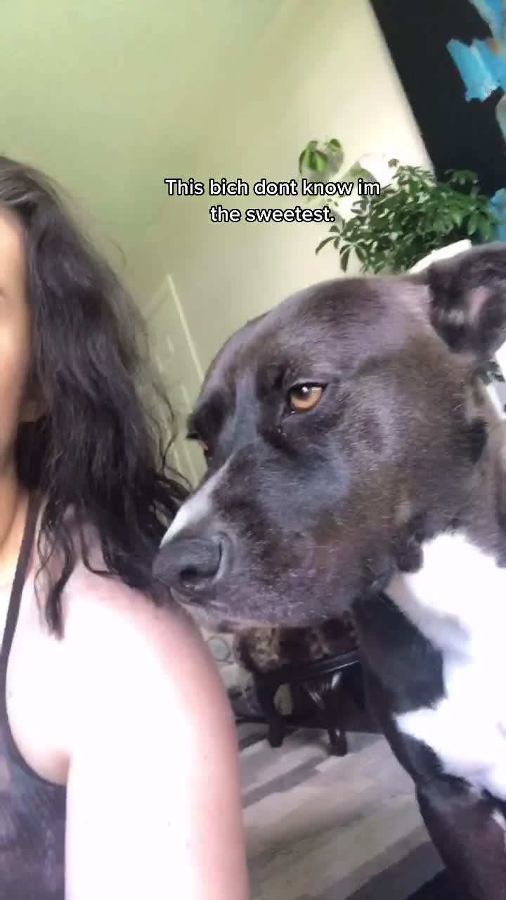@DragonSlayerBabe