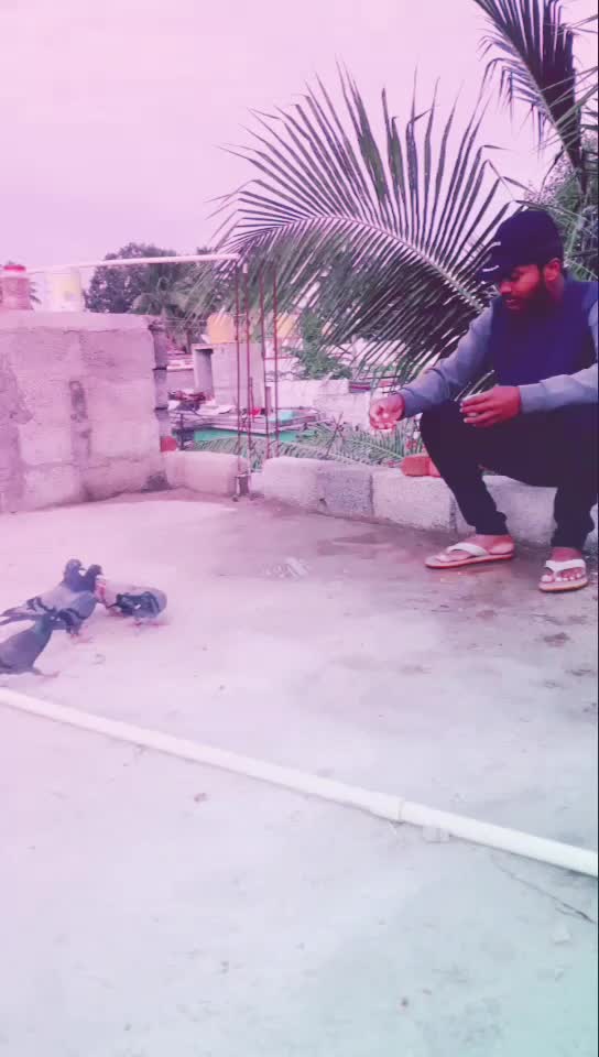 @Puni Punith