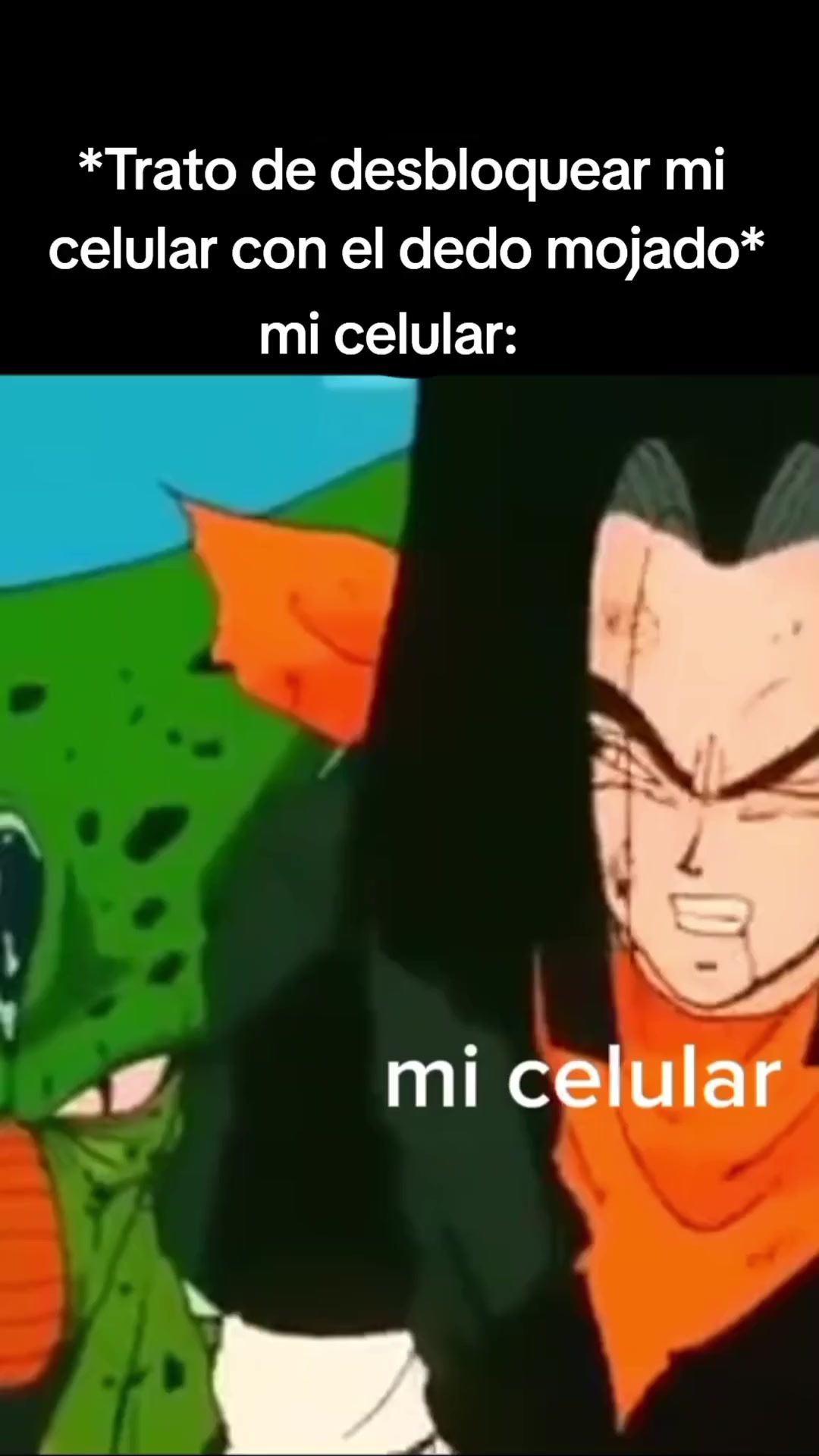 @.miau.