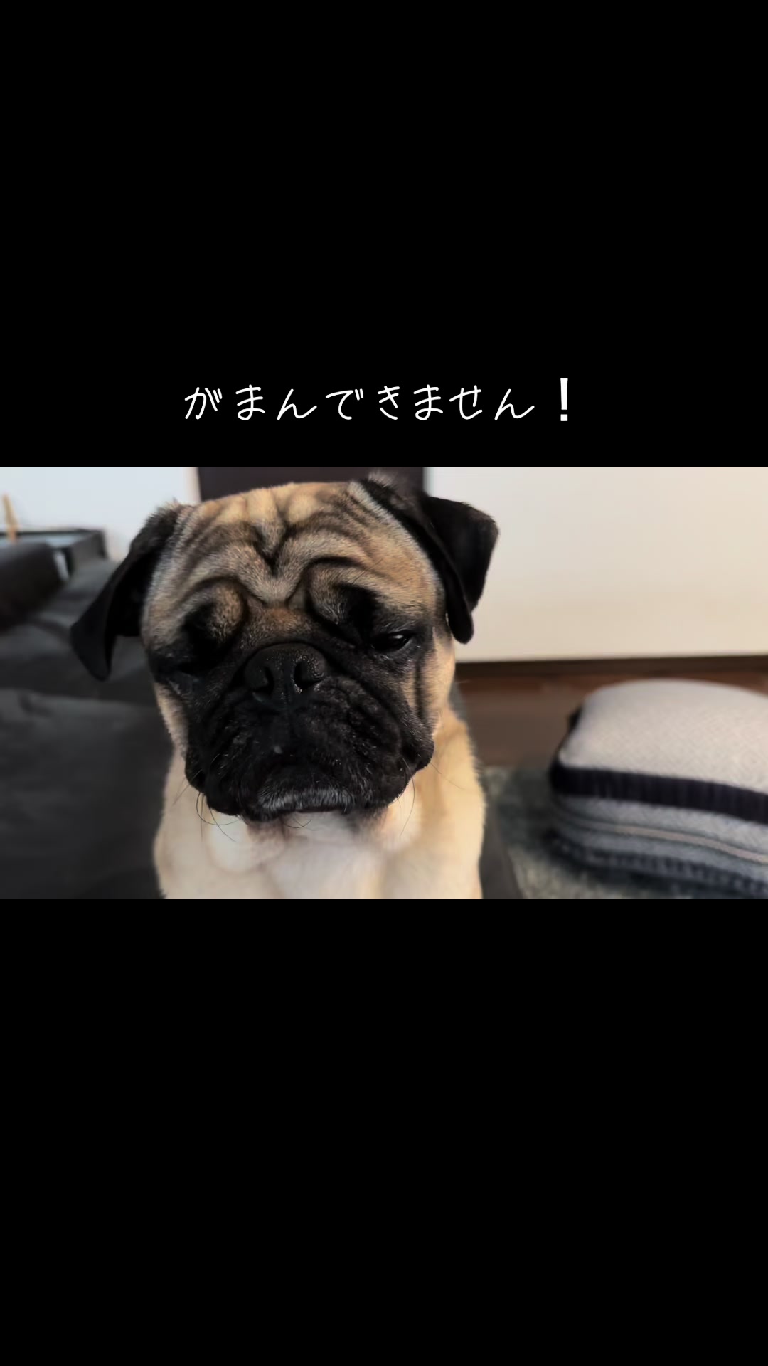 @のん&てん
