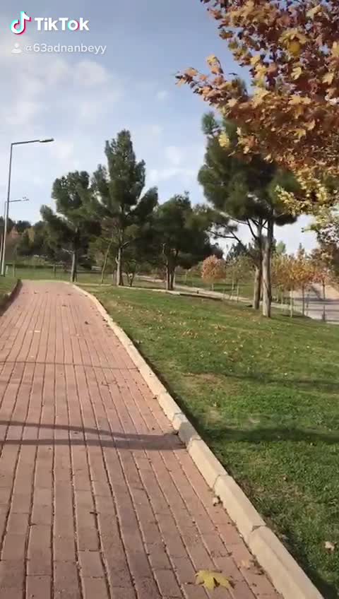 @Altundağ Adnan