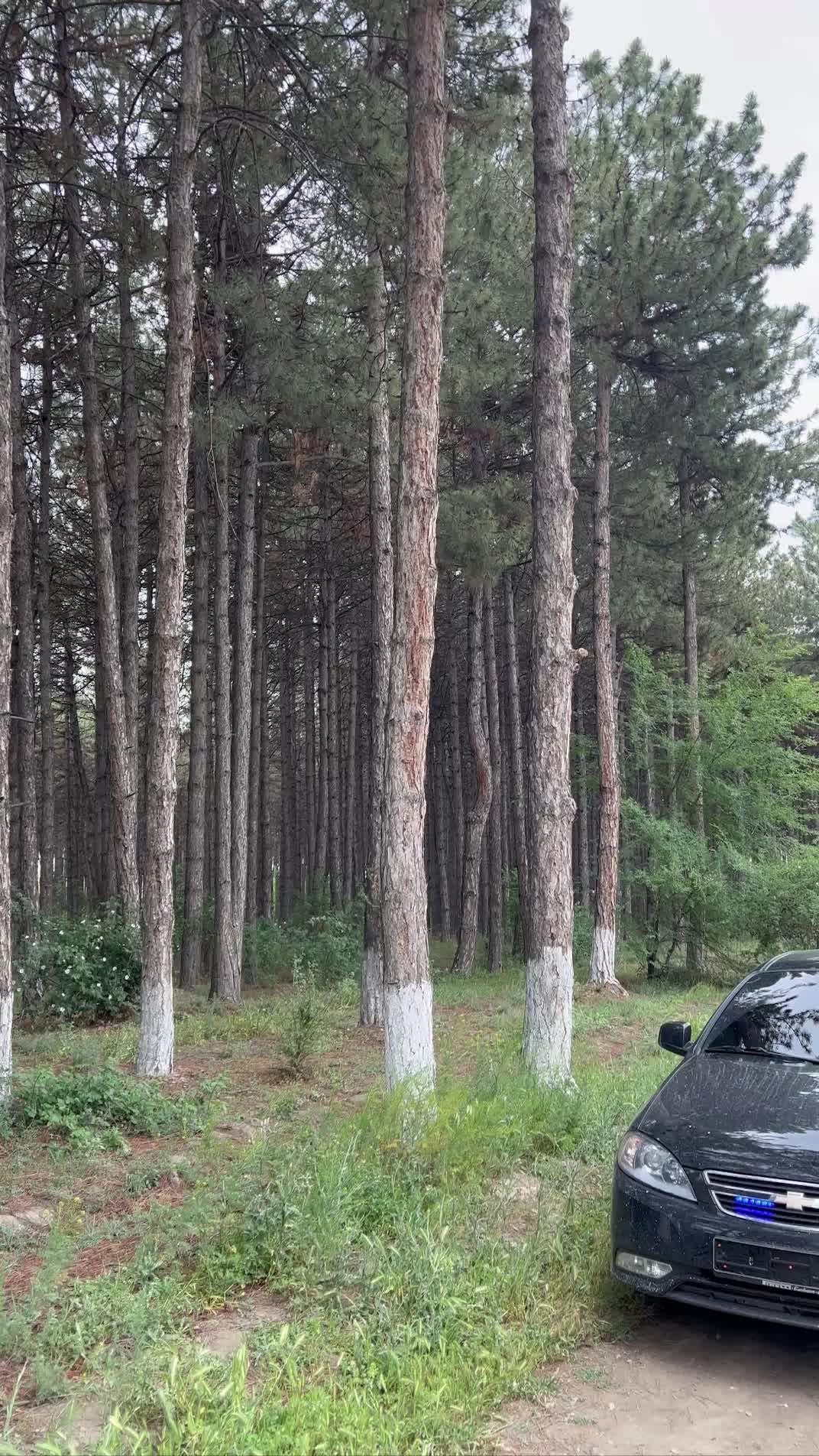 @070___