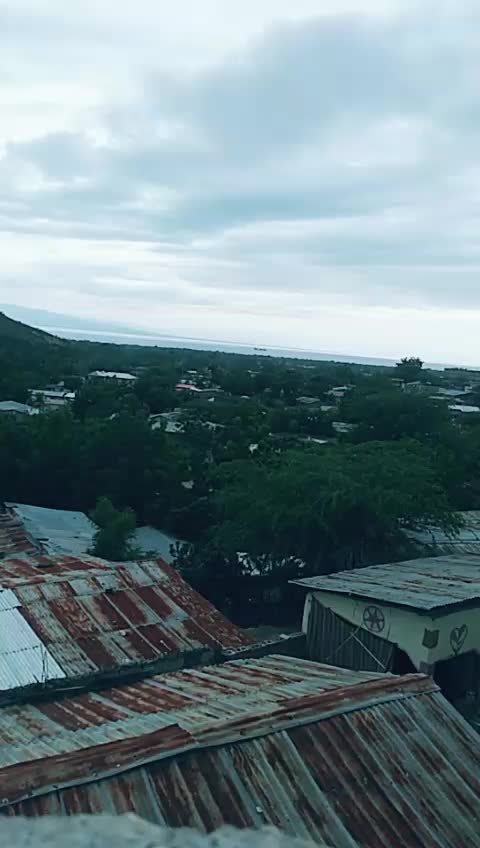 @Angeline Pierre202