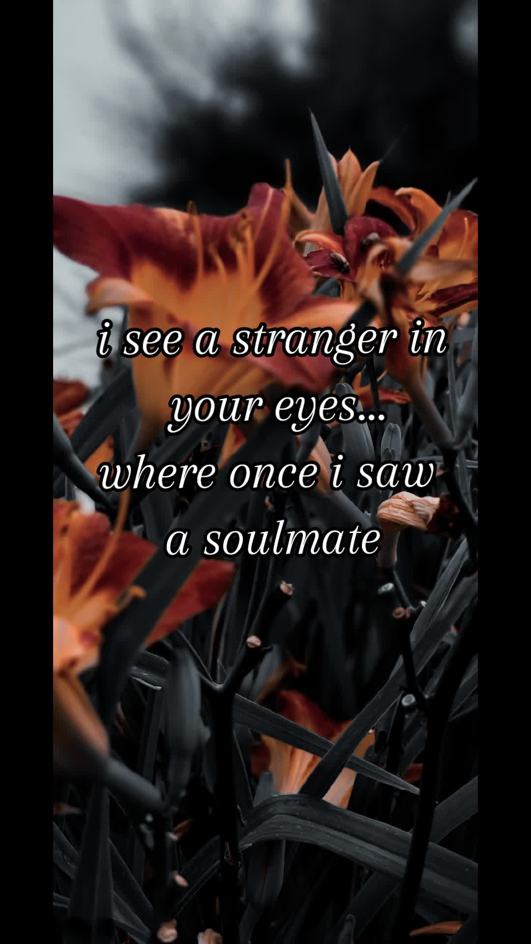 @darkest_of_souls