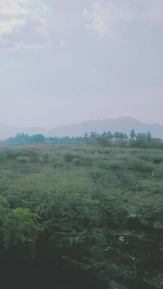 @BUJJIMA