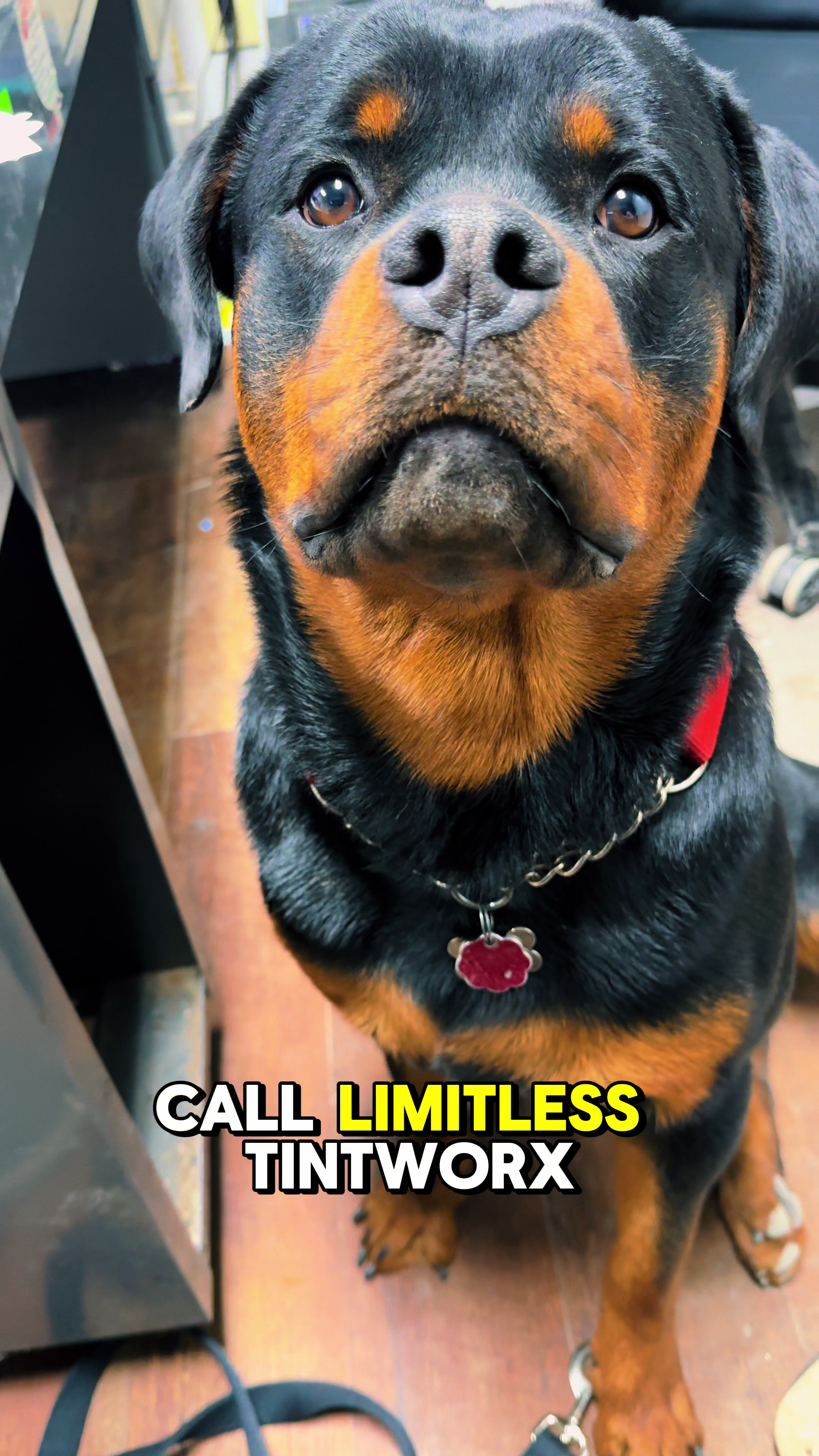 @LimitlessTintworx