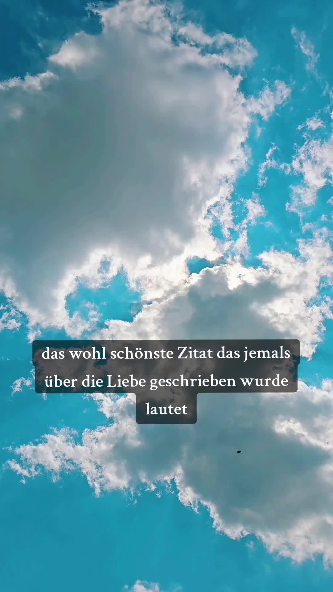 @lorenageppert