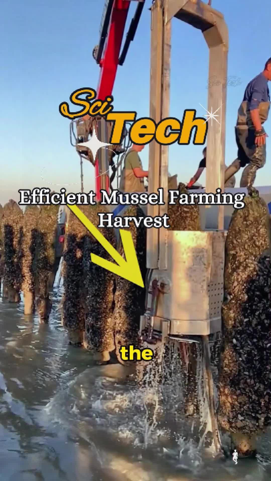 @ScitechTime