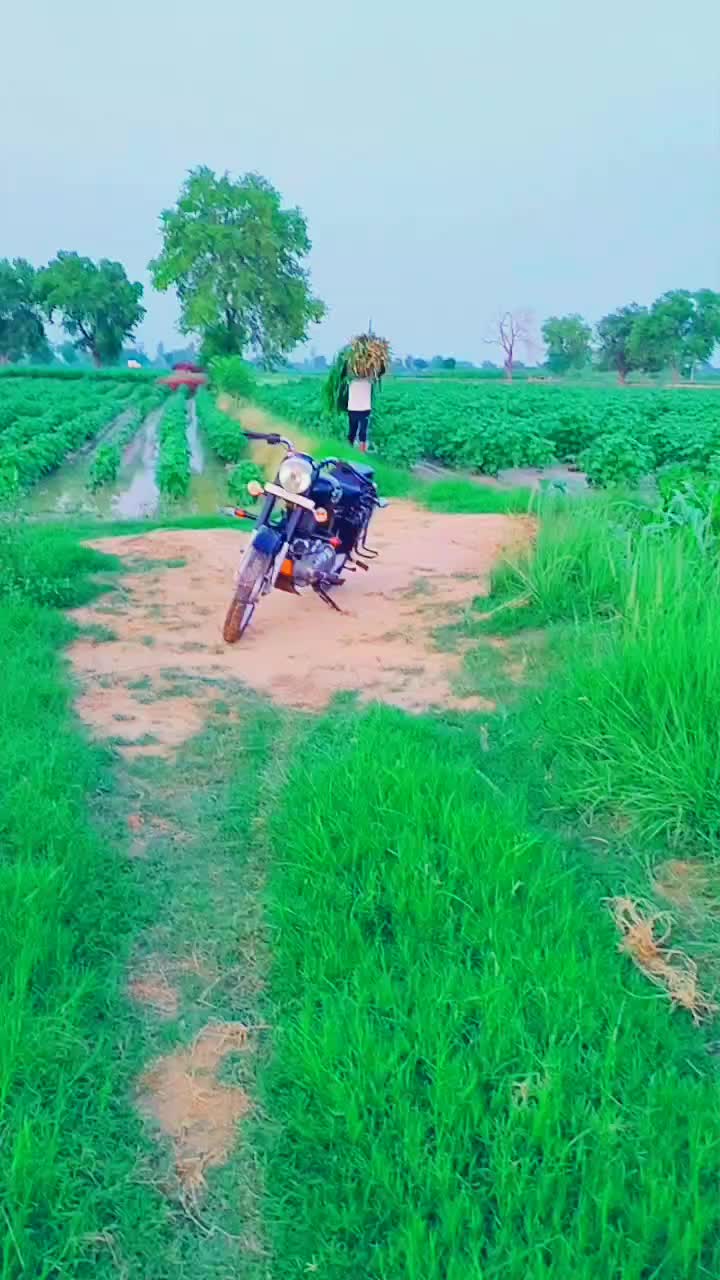 @Jasvir Singh