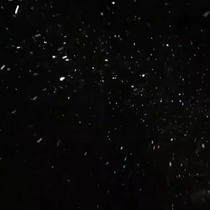 @đđĄđđđ(đ¨'fede đŤđđ§đ¨đ)