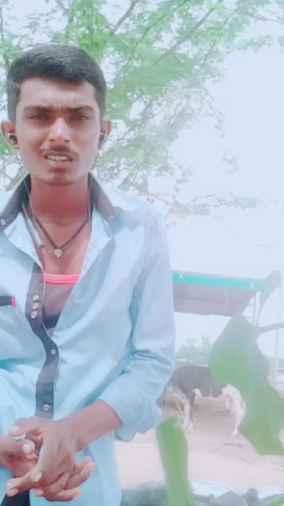 @राजा /राणी