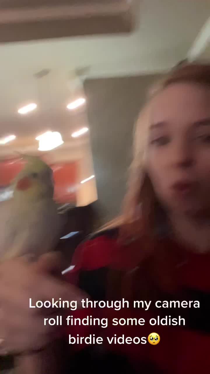 @navi
