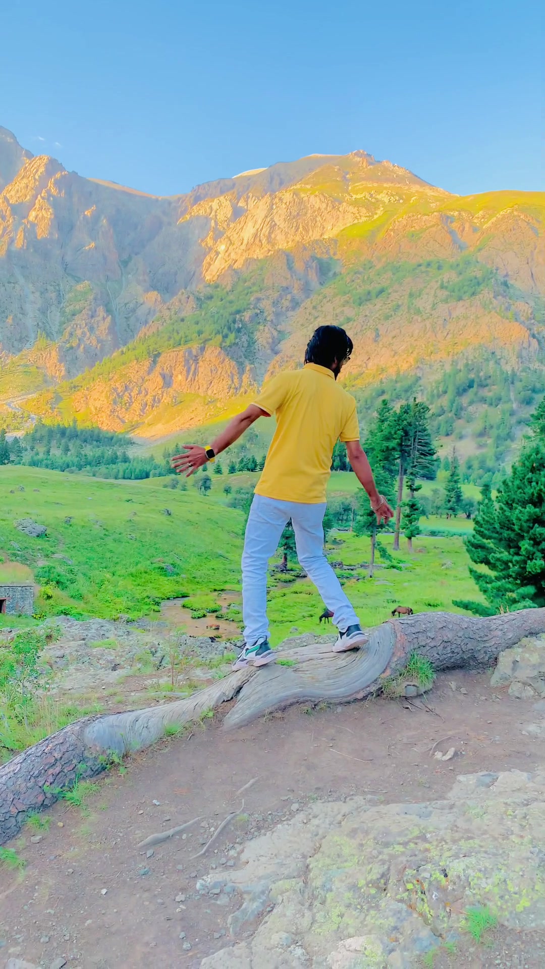 @Shoaib Rao Shebi