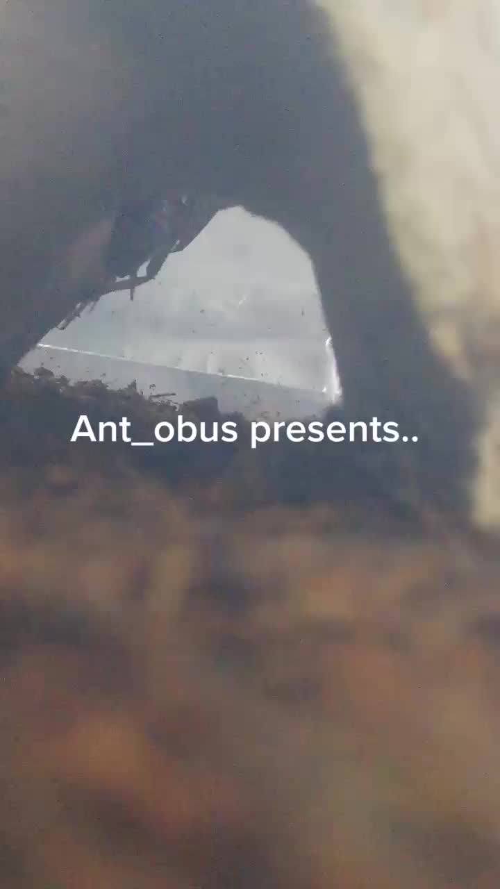 @Ant Category