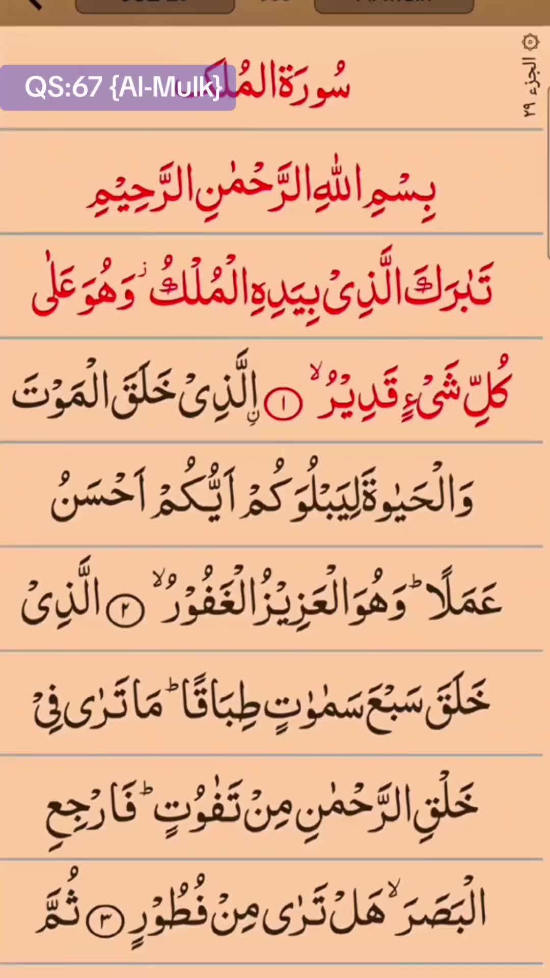 @HR.Trend