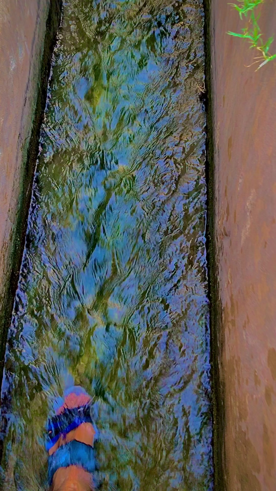 @پنجاب☘️🎋🌿