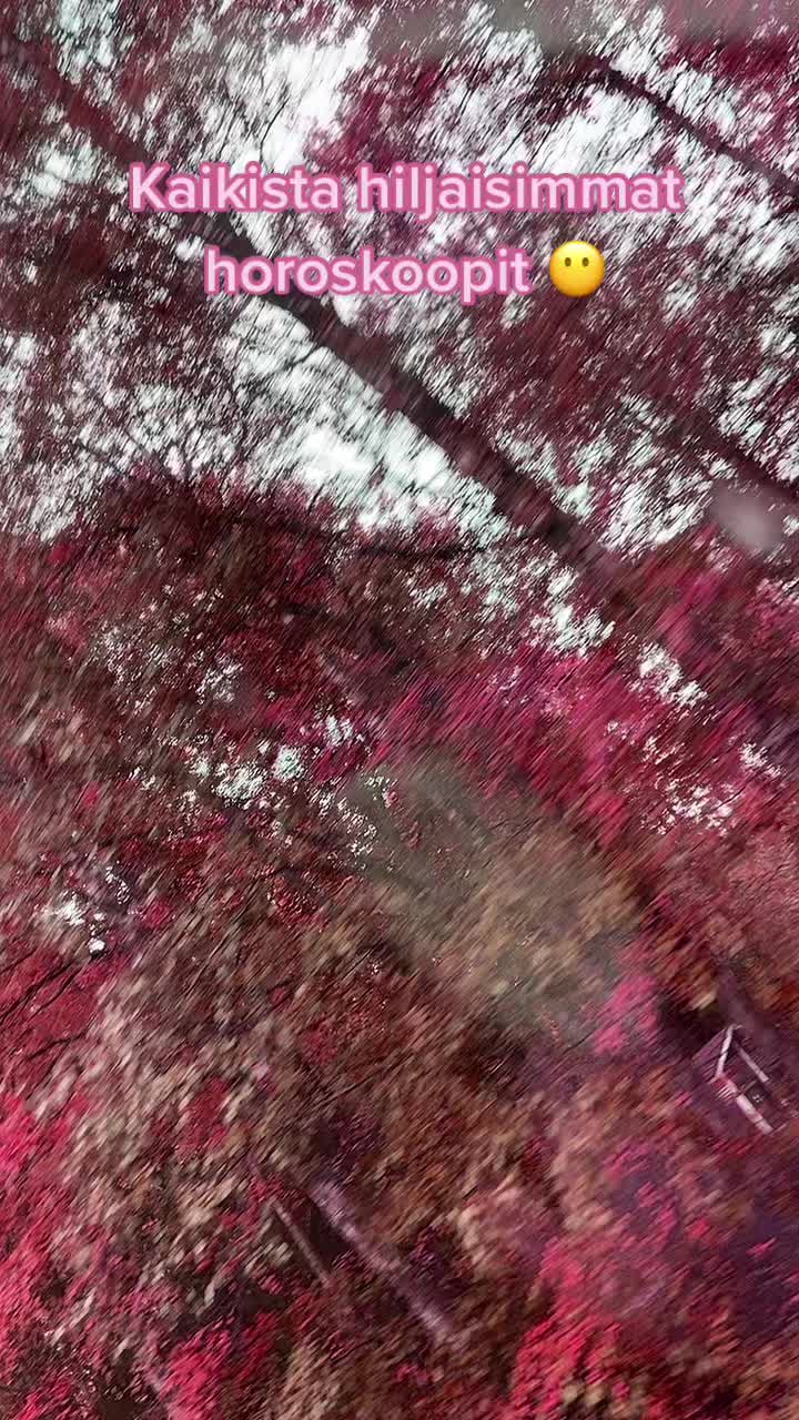 @🐙🐡