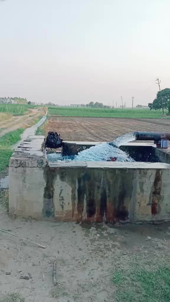 @Shamli (UP 19)