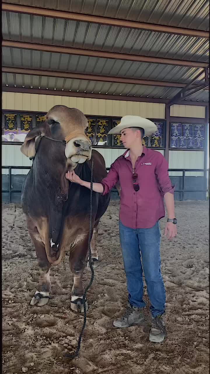 @Moreno Ranches