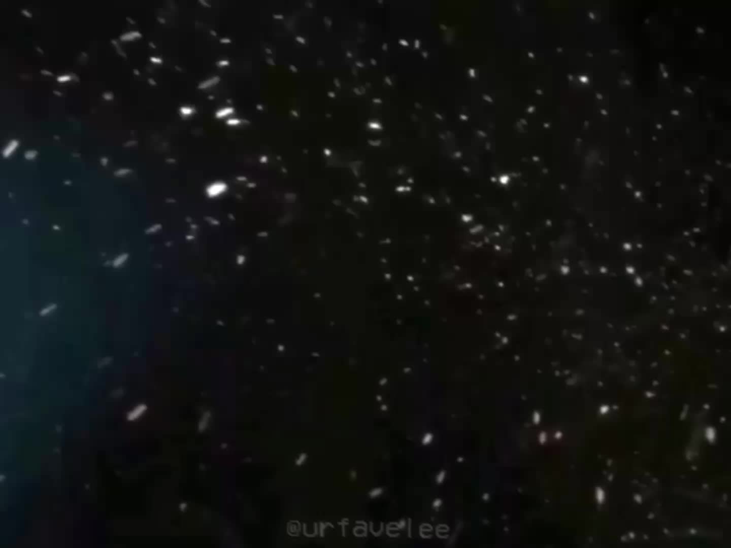 @l e e  ⸆⸉