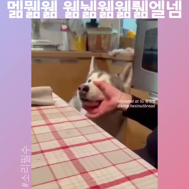 @김미진