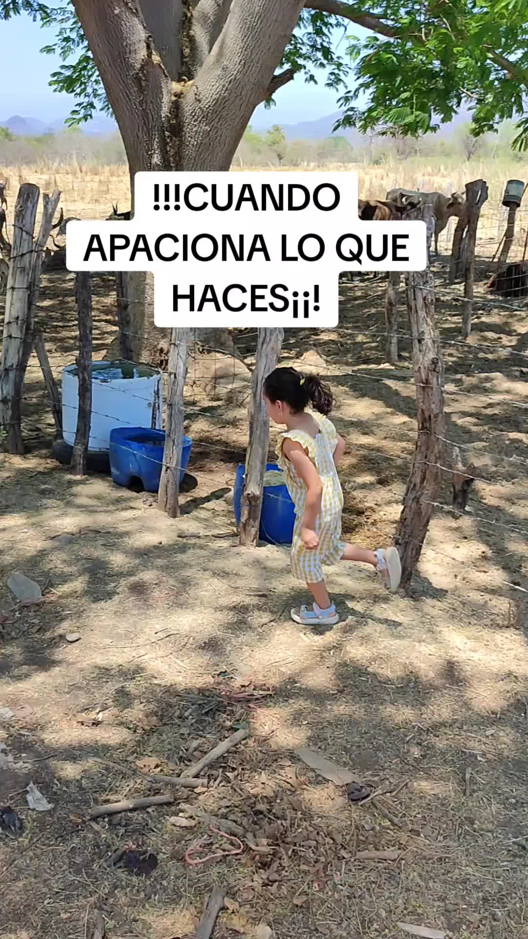 @Luis Valenzuela