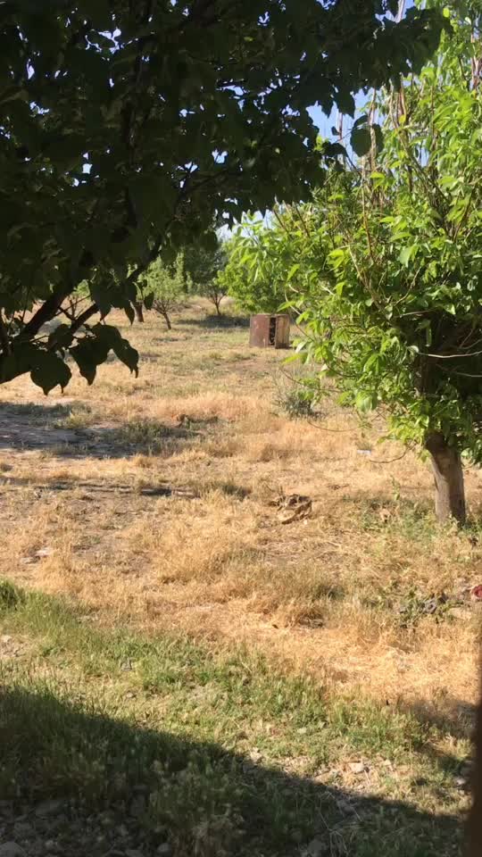 @Eray Sarıçiçek