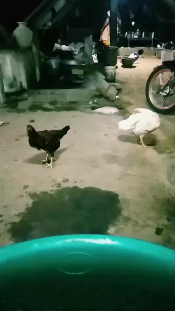 @raja raj