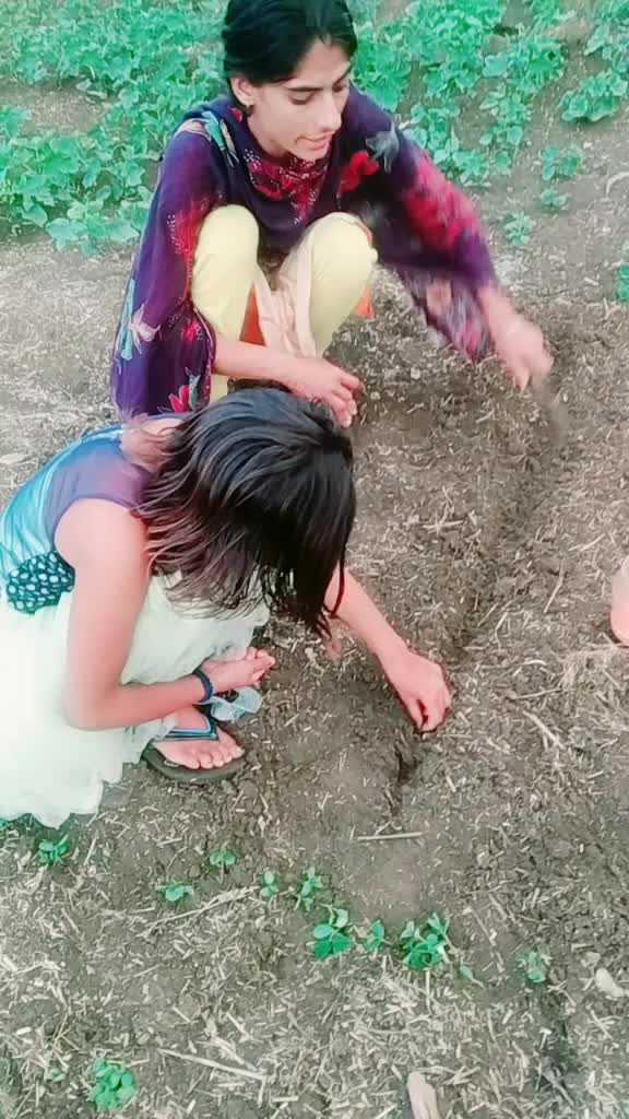 @bhai bahan