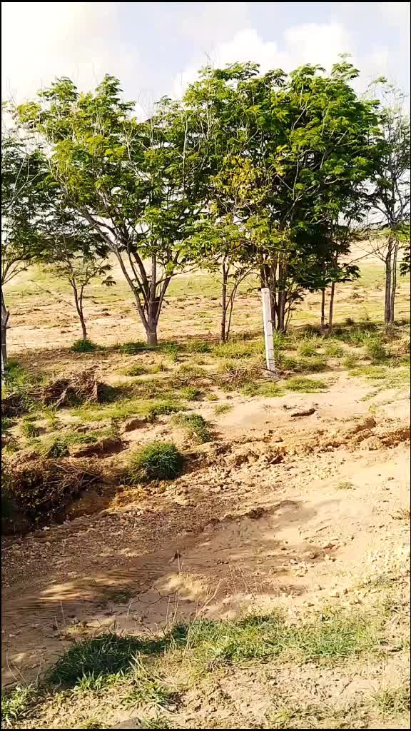 @Dil Ka Raja