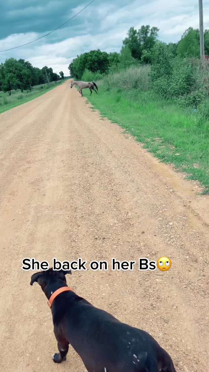@J.T Northcross🤪