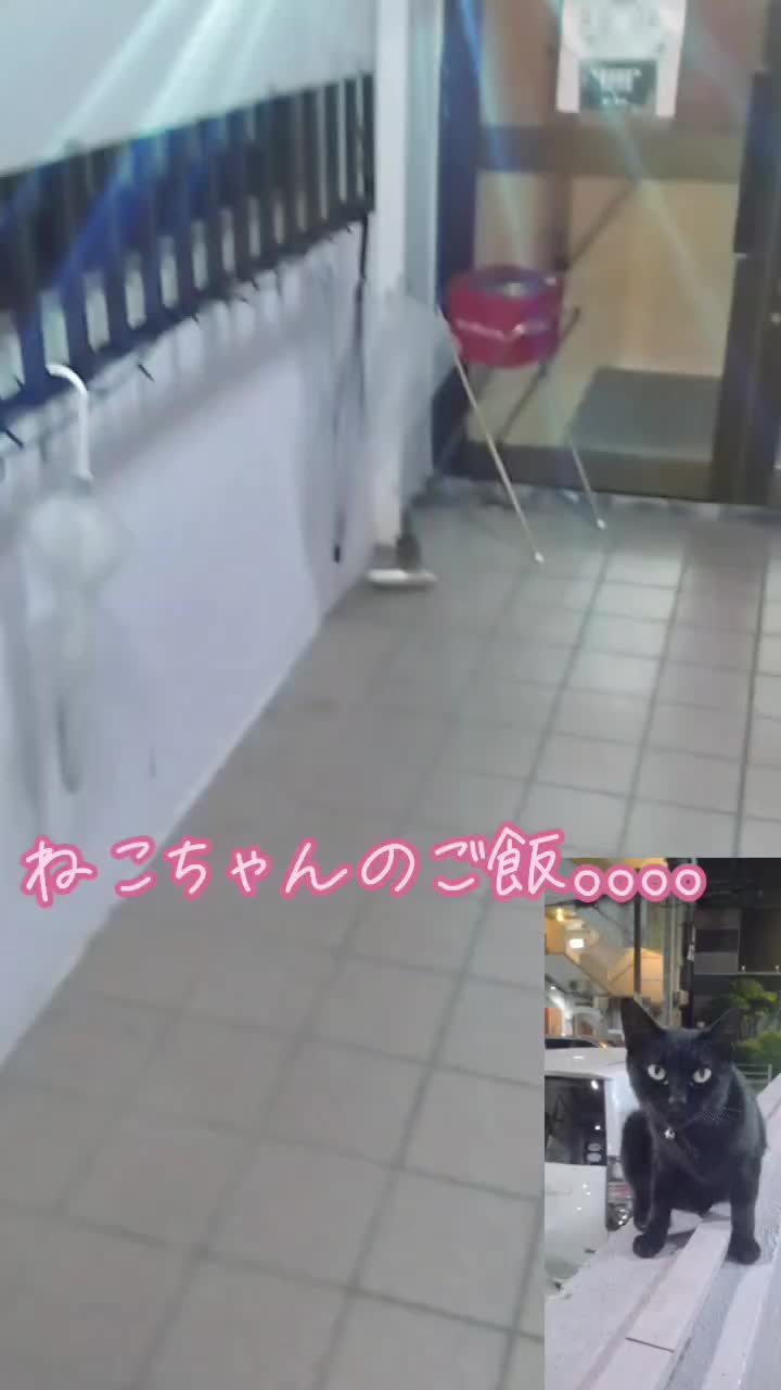 @沖縄セクキャバティンカーベル