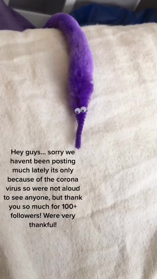 @worms4life