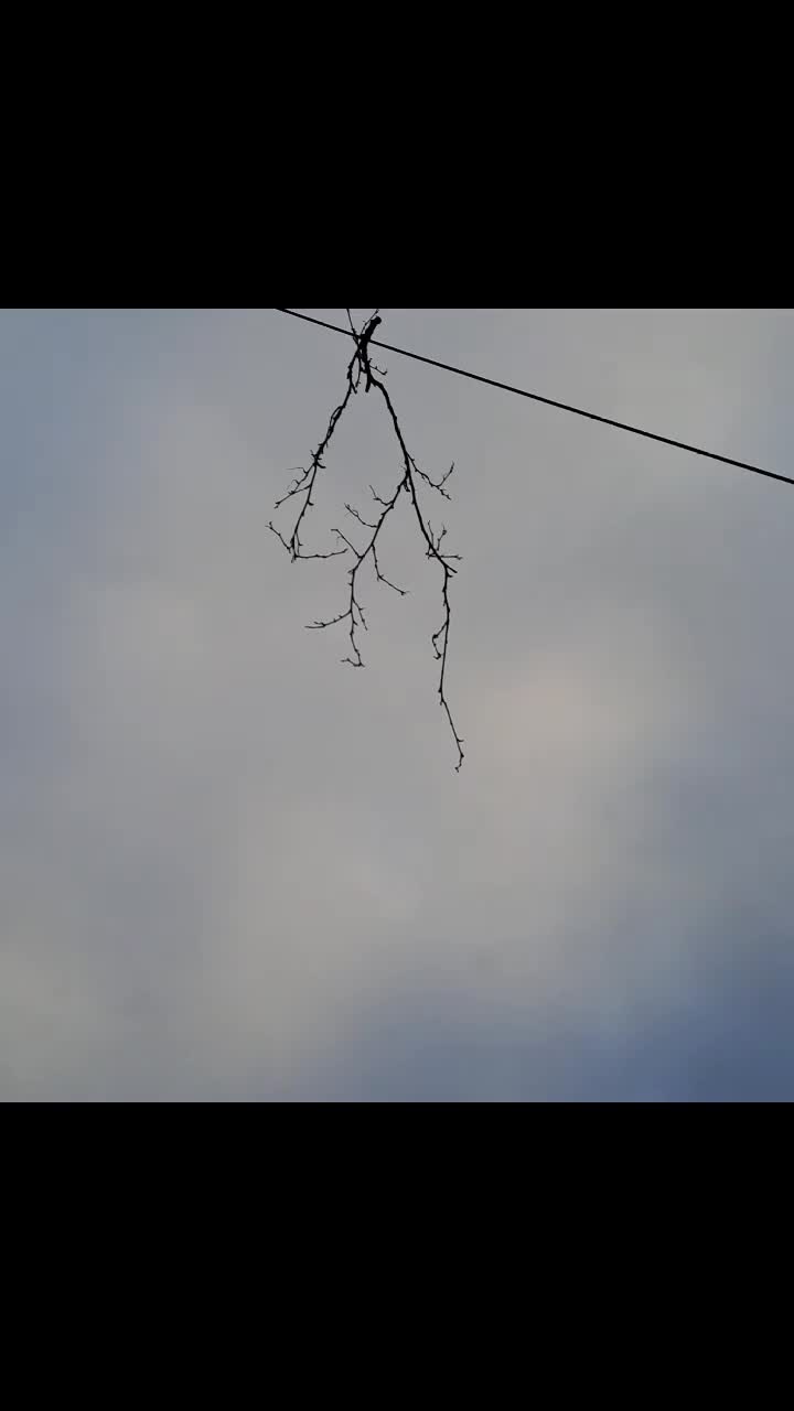 @комертат