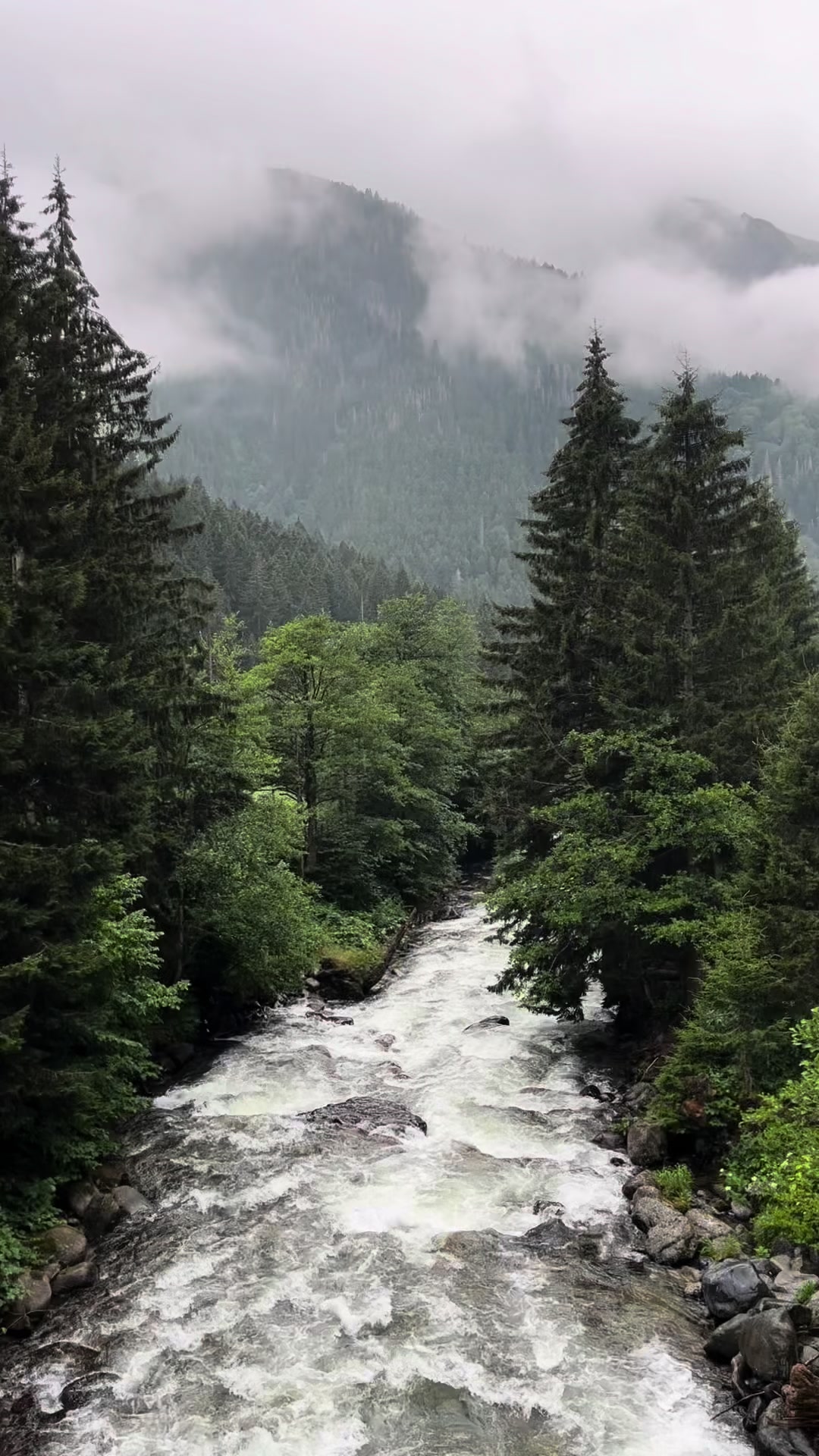 @travelerbedir