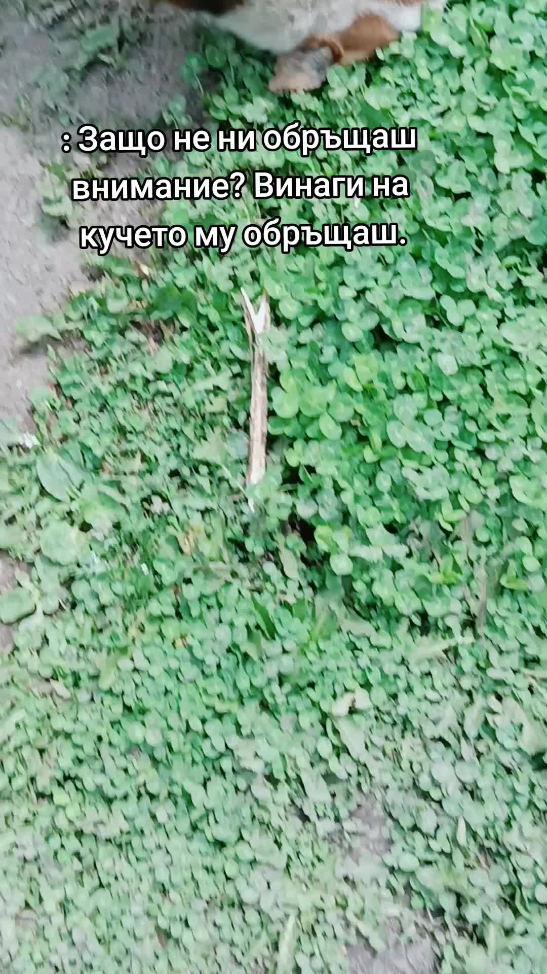 @𝑆𝑙𝑎𝑣𝑐ℎ𝑒𝑣𝑎💕