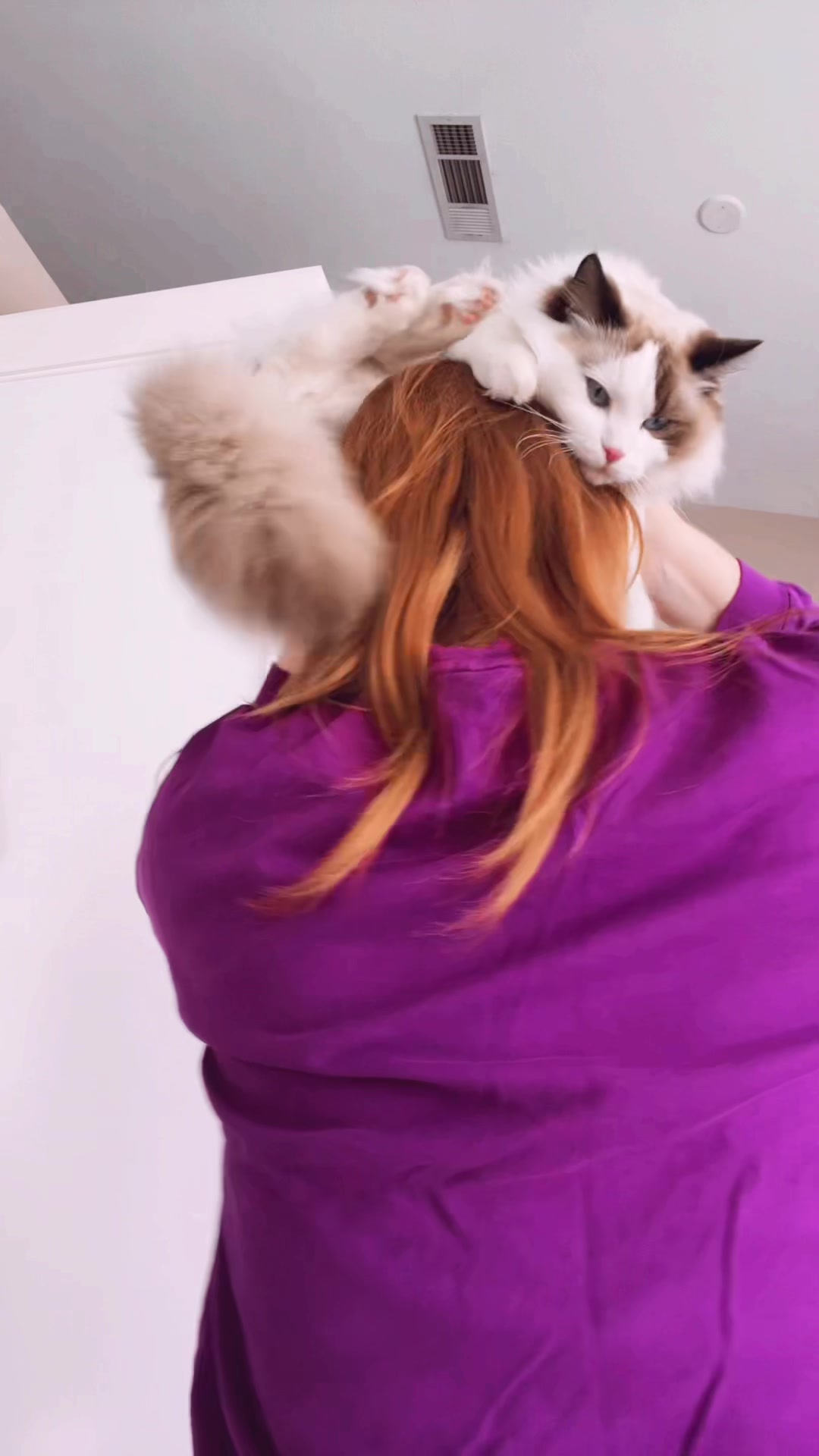 @defnotdelilah