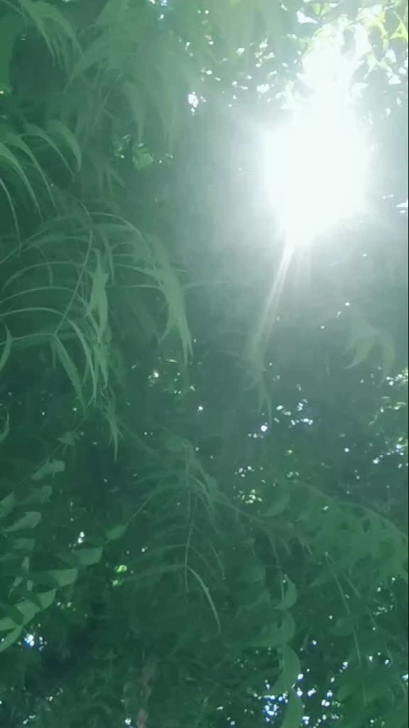 @user789598