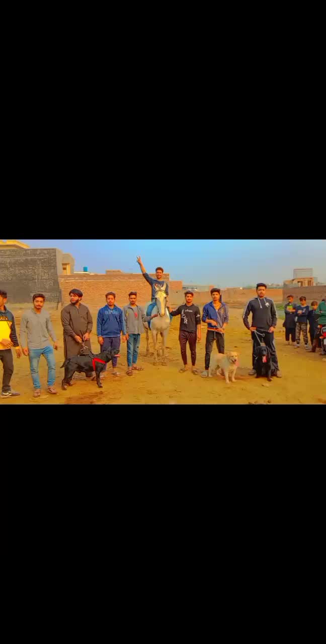 @🔥 مہر بادشاہ 😎
